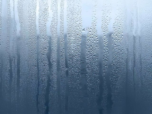 images/misted-glass/slider/misted-door-kireth-ai.jpeg